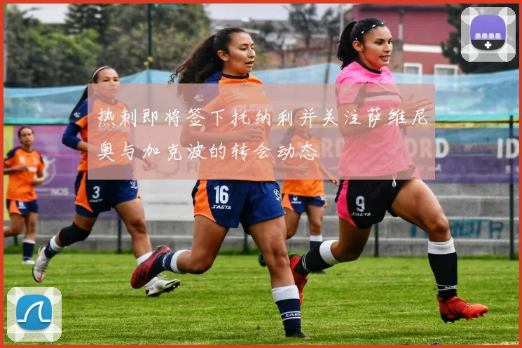 热刺即将签下托纳利并关注萨维尼奥与加克波的转会动态